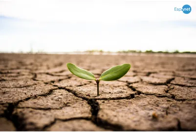 'Renasci das cinzas': a incrível história de Lyosha, o menino que o pai atirou em um forno aceso