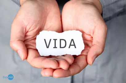 Cientistas conseguem reativar cérebros de porcos quatro horas após morte