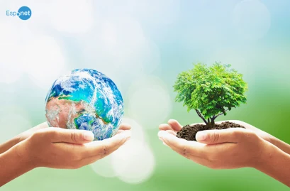 ONU reforça que meio ambiente saudável é direito humano fundamental