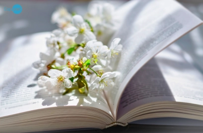 Livros escritos por humanos começam a ganhar selo de “literatura orgânica”