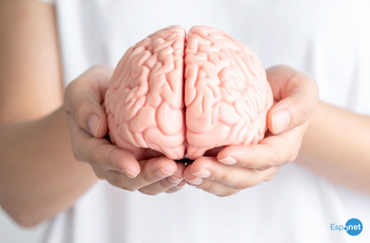 Onde nasce a consciência? A questão que opõe neurocientistas