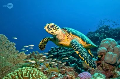 Terra sendo empurrada além de seus limites à medida que o desequilíbrio energético atinge recorde histórico