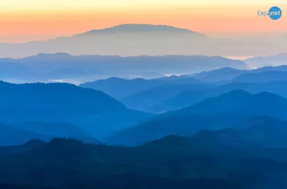 Idoso é preso por ajudar esposa a fazer eutanásia após 30 anos de luta contra esclerose múltipla